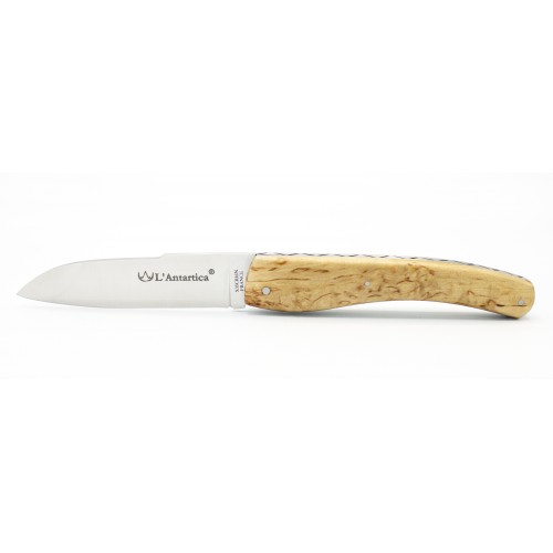 Pocket knife l'Antartica in Arctic birch wood