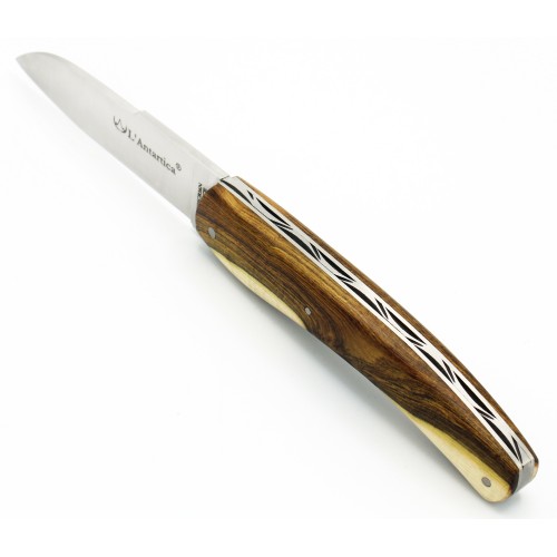 Couteau L&#039;Antartica 12cm en Pistachier