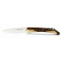 Pocket knife l'Espalion Lady bridge in pistachio