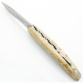 The 4810 folding knife in birch wood