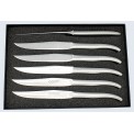 Box of 6 table knives entirely in stainless steel